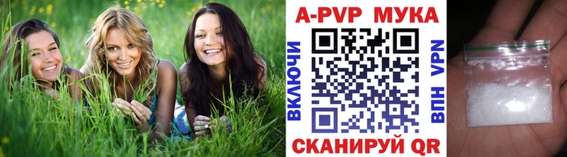 Alfa_PVP СК КРИС  маркетплейс состав  Нерехта 